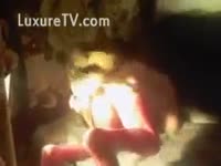 [ Animal XXX DVD ] Woman in red nylons having a dog group sex